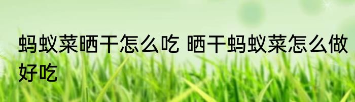 蚂蚁菜晒干怎么吃 晒干蚂蚁菜怎么做好吃