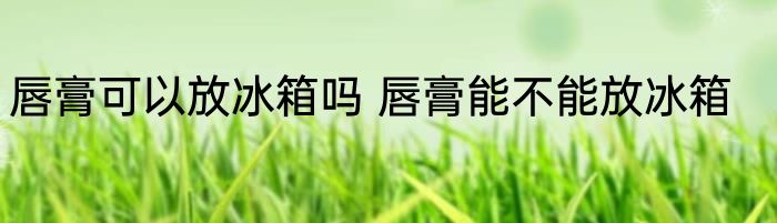 唇膏可以放冰箱吗 唇膏能不能放冰箱