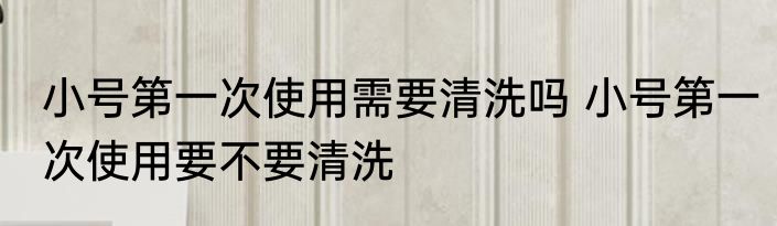 小号第一次使用需要清洗吗 小号第一次使用要不要清洗