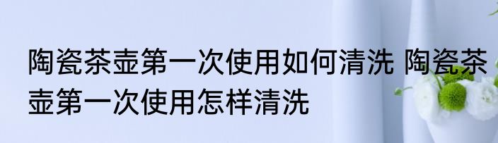 陶瓷茶壶第一次使用如何清洗 陶瓷茶壶第一次使用怎样清洗
