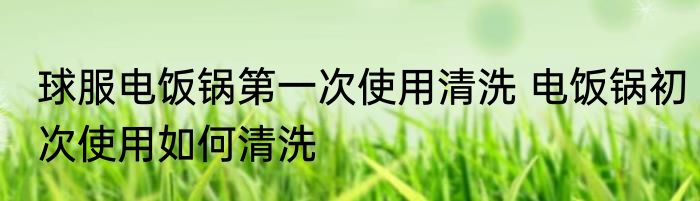 球服电饭锅第一次使用清洗 电饭锅初次使用如何清洗