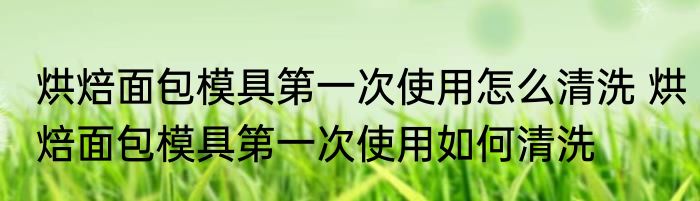 烘焙面包模具第一次使用怎么清洗 烘焙面包模具第一次使用如何清洗