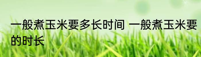 一般煮玉米要多长时间 一般煮玉米要的时长