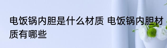 电饭锅内胆是什么材质 电饭锅内胆材质有哪些