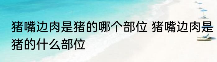 猪嘴边肉是猪的哪个部位 猪嘴边肉是猪的什么部位