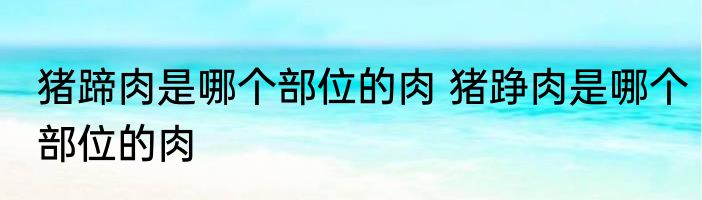 猪蹄肉是哪个部位的肉 猪踭肉是哪个部位的肉