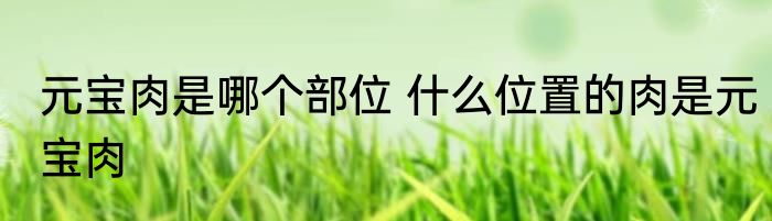 元宝肉是哪个部位 什么位置的肉是元宝肉