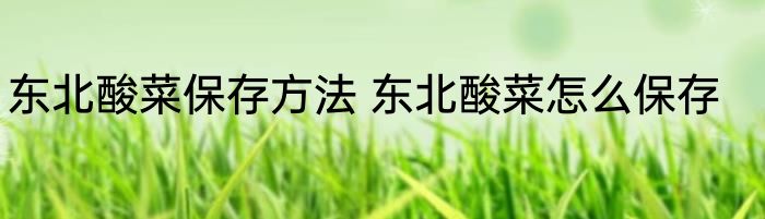 东北酸菜保存方法 东北酸菜怎么保存