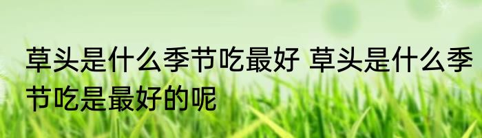 草头是什么季节吃最好 草头是什么季节吃是最好的呢