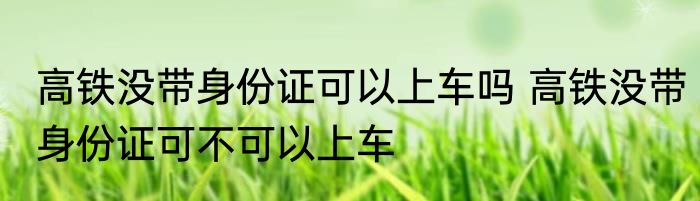 高铁没带身份证可以上车吗 高铁没带身份证可不可以上车