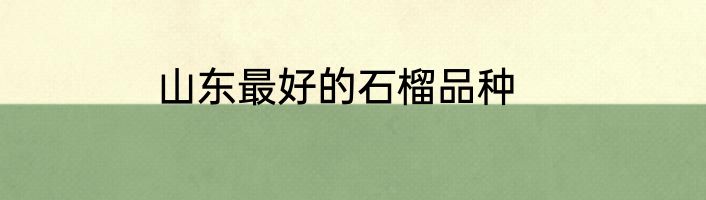 山东最好的石榴品种