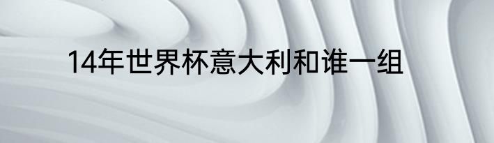 14年世界杯意大利和谁一组