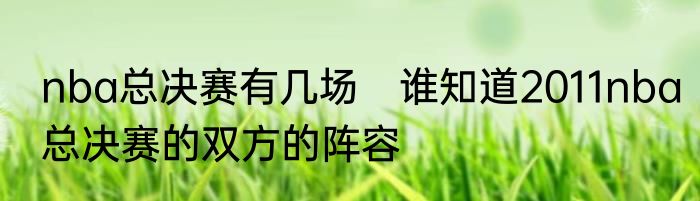 nba总决赛有几场　谁知道2011nba总决赛的双方的阵容