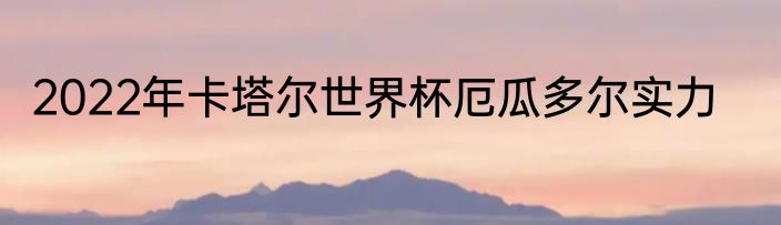 2022年卡塔尔世界杯厄瓜多尔实力