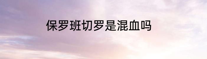 保罗班切罗是混血吗