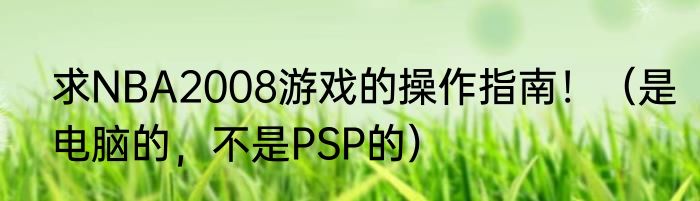 求NBA2008游戏的操作指南！（是电脑的，不是PSP的）
