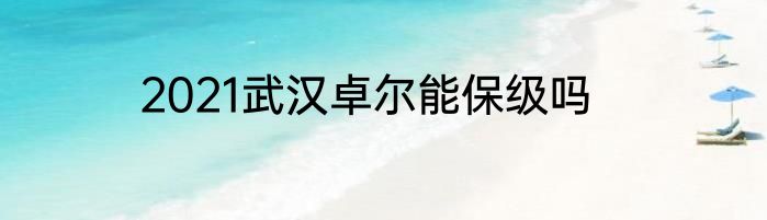 2021武汉卓尔能保级吗