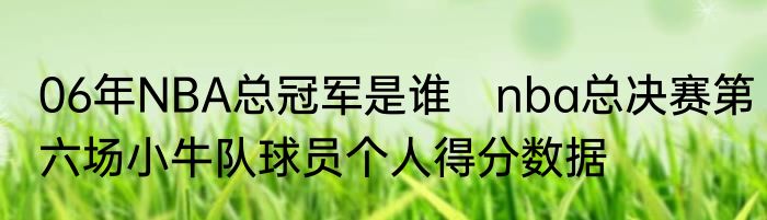 06年NBA总冠军是谁　nba总决赛第六场小牛队球员个人得分数据