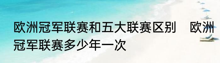 欧洲冠军联赛和五大联赛区别　欧洲冠军联赛多少年一次
