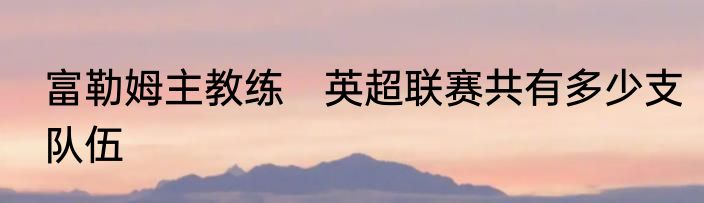 富勒姆主教练　英超联赛共有多少支队伍