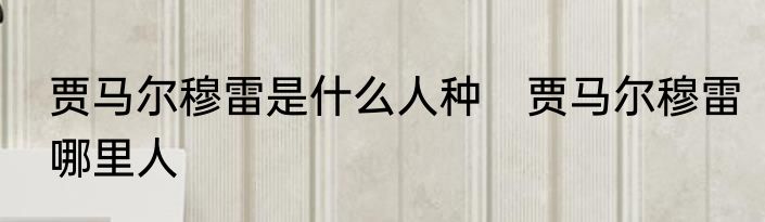 贾马尔穆雷是什么人种　贾马尔穆雷哪里人