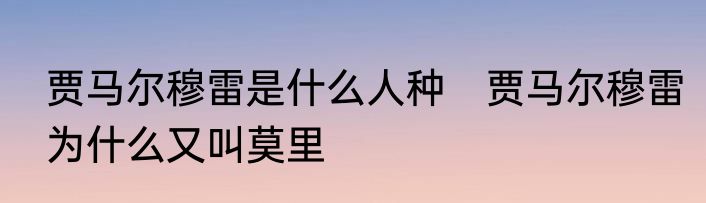 贾马尔穆雷是什么人种　贾马尔穆雷为什么又叫莫里