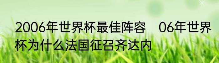 2006年世界杯最佳阵容　06年世界杯为什么法国征召齐达内