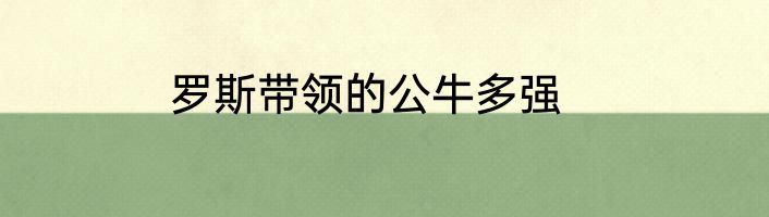 罗斯带领的公牛多强