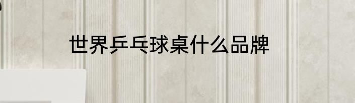 世界乒乓球桌什么品牌