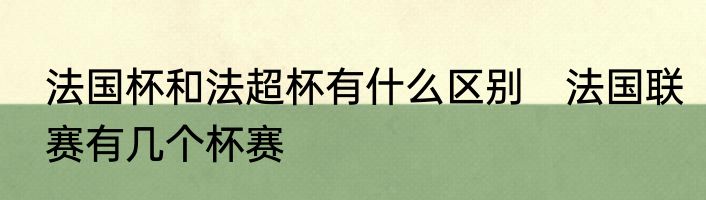 法国杯和法超杯有什么区别　法国联赛有几个杯赛
