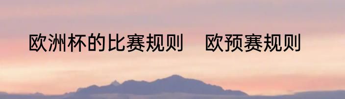 欧洲杯的比赛规则　欧预赛规则