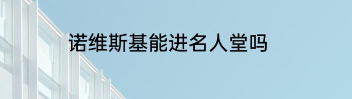 诺维斯基能进名人堂吗