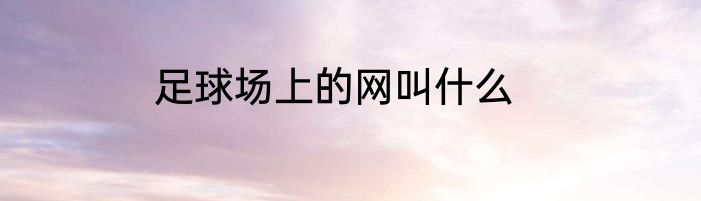 足球场上的网叫什么