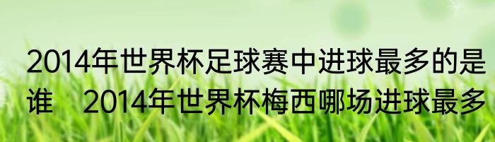 2014年世界杯足球赛中进球最多的是谁　2014年世界杯梅西哪场进球最多