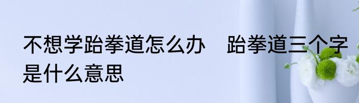不想学跆拳道怎么办　跆拳道三个字是什么意思