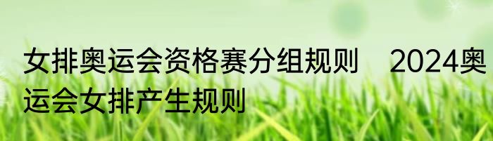女排奥运会资格赛分组规则　2024奥运会女排产生规则