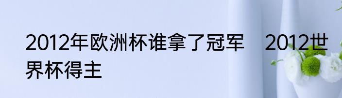 2012年欧洲杯谁拿了冠军　2012世界杯得主