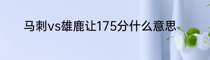 马刺vs雄鹿让175分什么意思