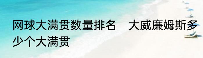网球大满贯数量排名　大威廉姆斯多少个大满贯