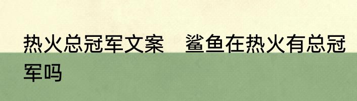 热火总冠军文案　鲨鱼在热火有总冠军吗