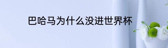 巴哈马为什么没进世界杯