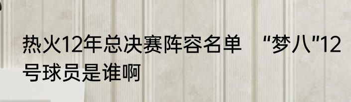热火12年总决赛阵容名单　“梦八”12号球员是谁啊