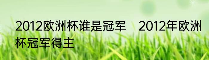 2012欧洲杯谁是冠军　2012年欧洲杯冠军得主