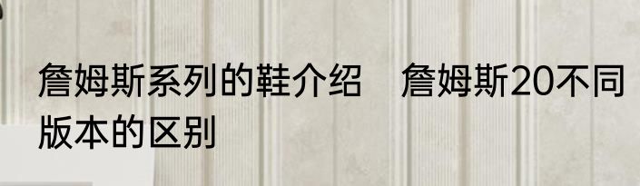 詹姆斯系列的鞋介绍　詹姆斯20不同版本的区别