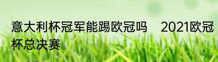 意大利杯冠军能踢欧冠吗　2021欧冠杯总决赛