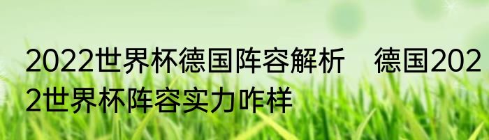 2022世界杯德国阵容解析　德国2022世界杯阵容实力咋样