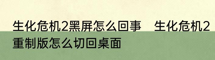 生化危机2黑屏怎么回事　生化危机2重制版怎么切回桌面