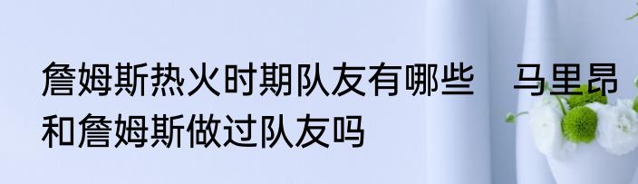 詹姆斯热火时期队友有哪些　马里昂和詹姆斯做过队友吗