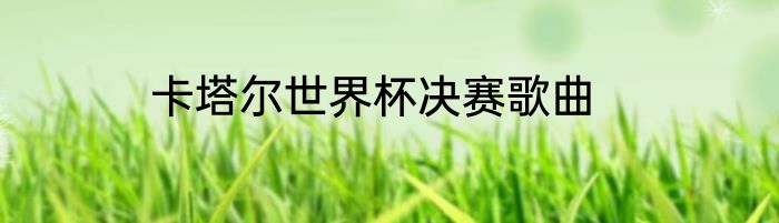 卡塔尔世界杯决赛歌曲