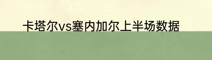 卡塔尔vs塞内加尔上半场数据